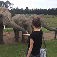 Charline G.的照片