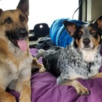 Zdjęcia użytkownika Cat Koetting