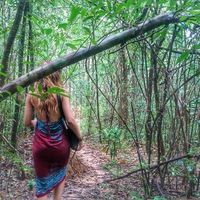 Rosa Roselló's Photo