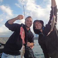 Martin Jerome的照片