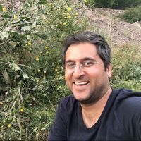 Le foto di Hamed showghi