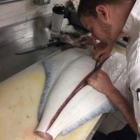 Chris McEwen's Photo