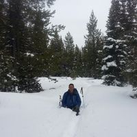 Francisco Castellon's Photo