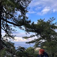 Fatih D's Photo