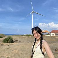 Windy Nguyen的照片