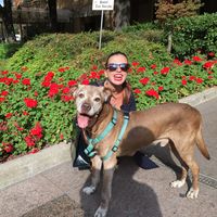 Fotos de Brownie Pitstop