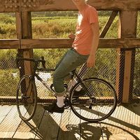 David Innes的照片