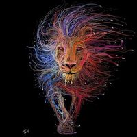 Dries Goethals's Photo