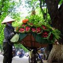 Stories on History & Culture of Viet Nam's picture
