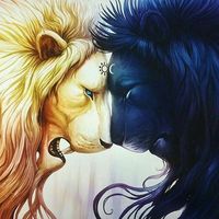 Mayan Patel的照片