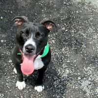 Fotos von Lily Frazier-Halladay