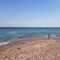 Photos de sarah  Elsayed