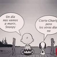 Diana Cárdenas's Photo