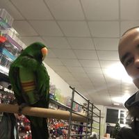 Kerim Cutuna的照片