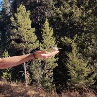 Mario Pagano's Photo