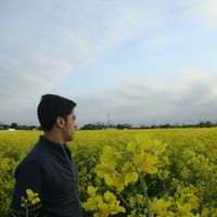 Abed Besmel的照片