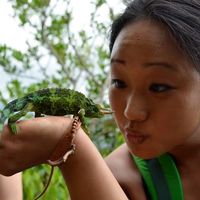 Fotos von Julie Choi