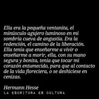 Nicolás Fernández的照片