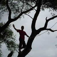 Nikola Šljivić's Photo