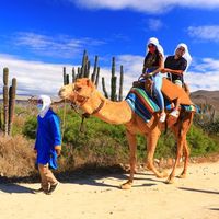 Arnulfo Parra's Photo