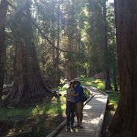 Valerie Ringland的照片