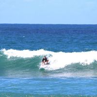 Anna Sokolova的照片