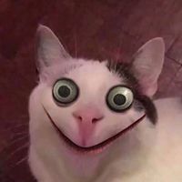 Zdjęcia użytkownika Алексей Яковлев