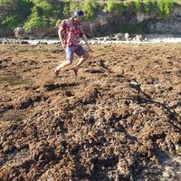 Aldy Raenaldy's Photo