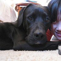 Min-Hui Hung's Photo