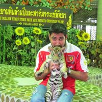 Guillermo Flores's Photo