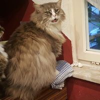 Martina Fechter's Photo