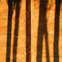 Giorgio Colombo's Photo