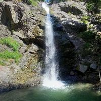 Yogui Jordan's Photo