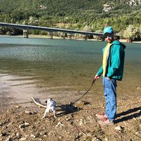 Francesco militano's Photo