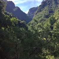 pedro sousa的照片