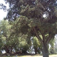 Fotos de Ryan Donaldson