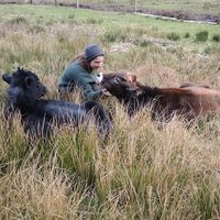 Hannah Schwartzentruber's Photo