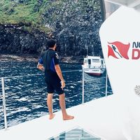 Luiz Henrique's Photo