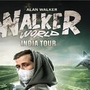 фотография Sunburn Alan Walker India Tour