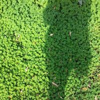 Фотографии пользователя Brya A