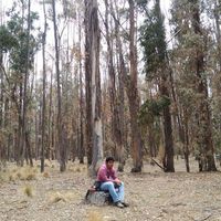 Mario Mendoza Loyola的照片