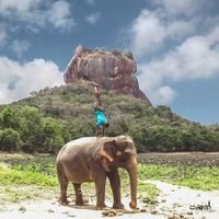 Tharindu Paththapperuma's Photo