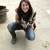 Alejandra Rodriguez的照片