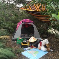 Hannah Maljcov的照片