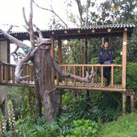 Javiera Llorens的照片