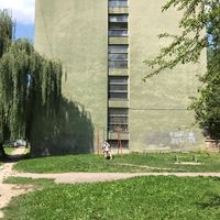 Spencer Detje's Photo