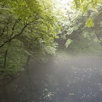 Filmof Engine的照片