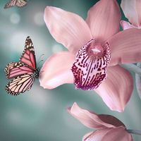 Любовь Орлова's Photo