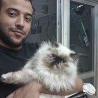 Dimitris Imanimis's Photo