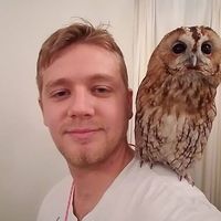 Steven Kelsey的照片